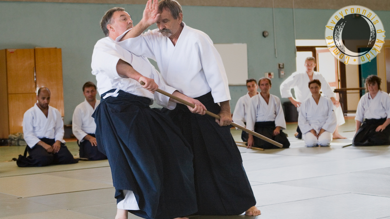 aikido_sebazac_rodez_stage_ete_05