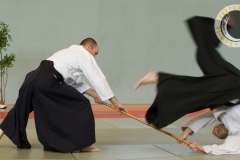 Aikido Sébazac stage été