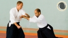 aikido_sebazac_rodez_stage_ete_01