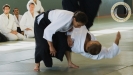 aikido_sebazac_rodez_stage_ete_03