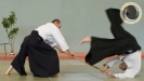 aikido_sebazac_rodez_stage_ete_10