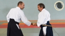 aikido_sebazac_rodez_stage_ete_13