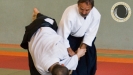 aikido_sebazac_rodez_stage_ete_16