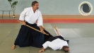 aikido_sebazac_rodez_stage_ete_17