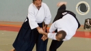 aikido_sebazac_rodez_stage_ete_18